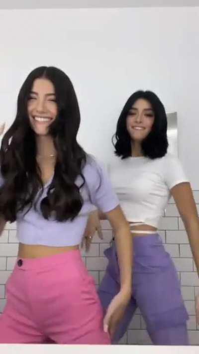 Tiktok dance charllidamelio and dixiedamelio