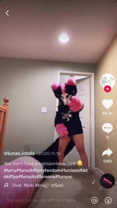 I only get the 40foot fur tail out for special occasions 😽