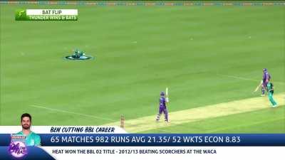 What do you think of these graphics? 