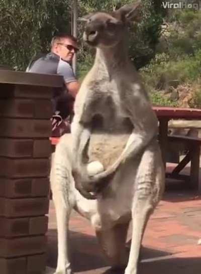 they’re mine, I can do what I want with them. 😅