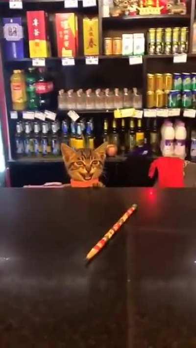 I haven’t seen ever a cute shopkeeper like this!