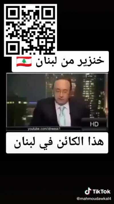 Joseph Abu Fadil attacks Muslims across the middle east AGAIN