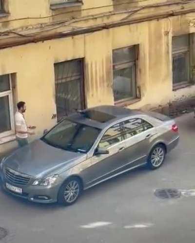 To gently move a crow without incident, gets murdered instead