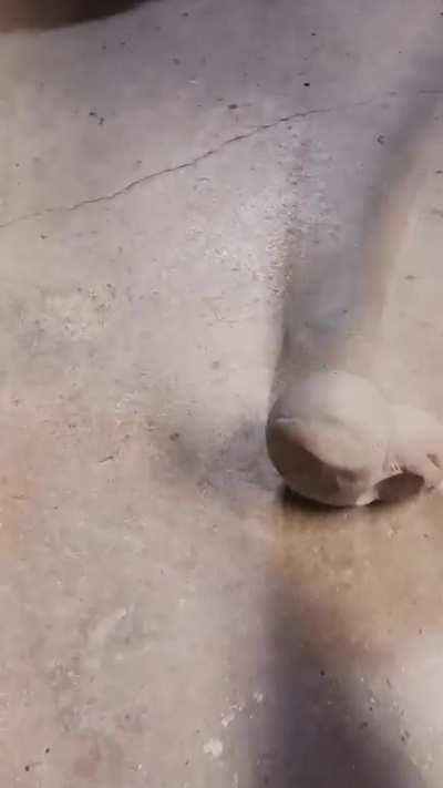 Brump is beat to death with a mallet