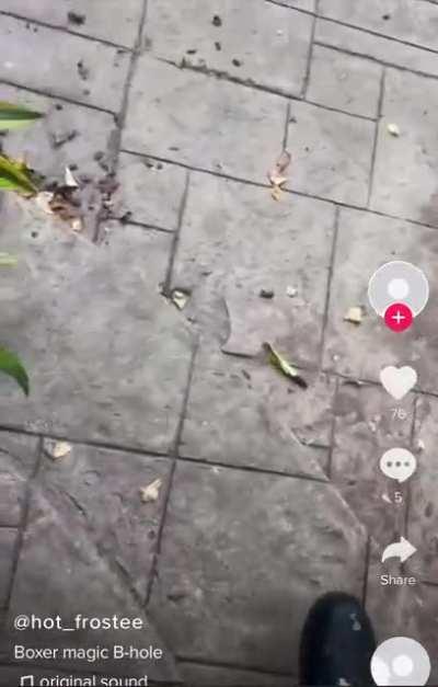 We need the main Mommy’s to see this 😂