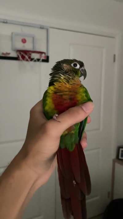 The little gyroscope in his head doing work rn