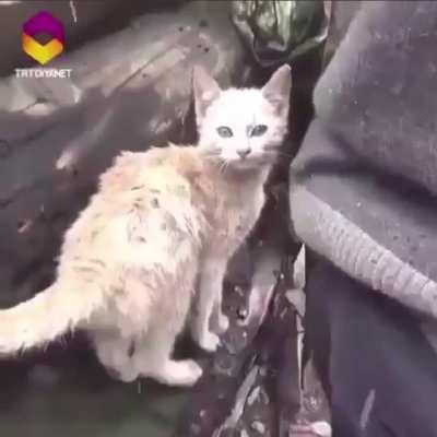 This man lost everything in a fire but he cries with joy when he finds that his kitten survived