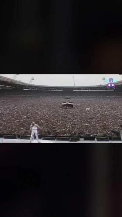 Alfredo Reina da el grito