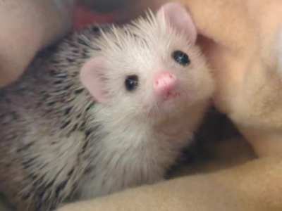 She'll just look at me like this for 20 minutes straight 