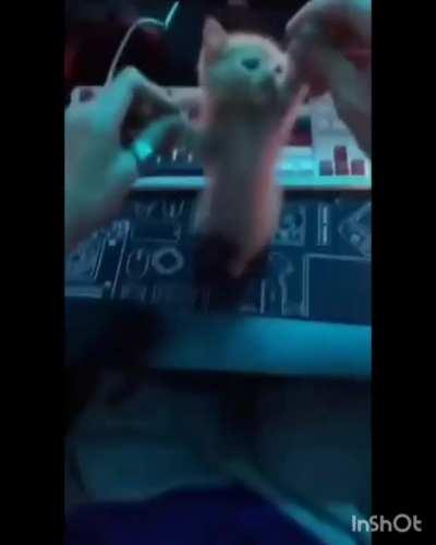 pov: bailas con tu novia de 1 40M