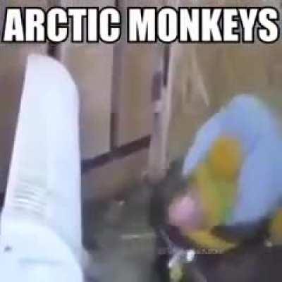monos del ártico 😎