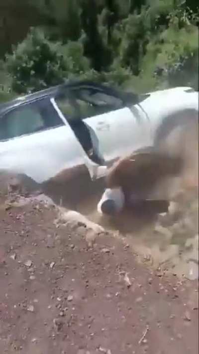 Heart Stopping moment when people save man before car crashes into ravine