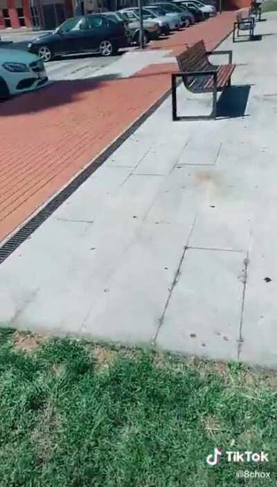 Mis panas esquivamos el banco maricon 🤘🤘😈😈