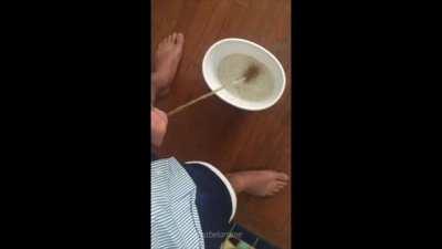 Filled a bucket full of pee to dump on my Asian pet