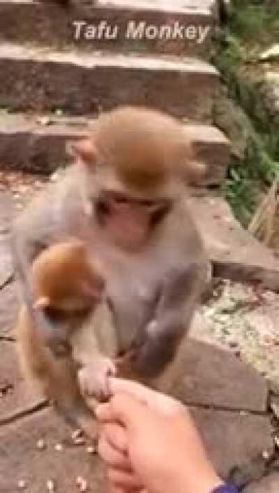 5 dias sem roer as unhas, 3 semanas fazendo só uma refeição, 1 mês sem masturbação, 2 meses tomando banho frio no escuro, e 2 MESES SEM ASSISTIR ONE PIECE, VOCÊS SABEM OQUE É DOR ? POIS EU SEI.