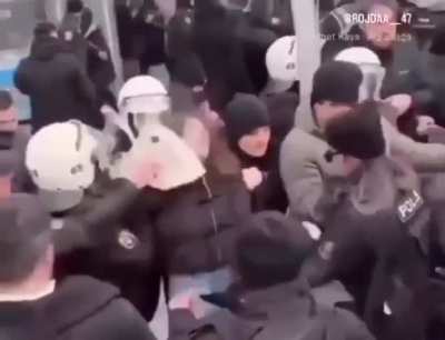 Turkish police assault a woman protester