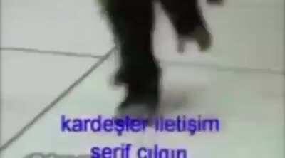 Agalarla eğlence