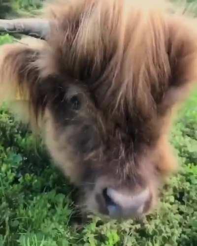 💇‍♀️ what a perfect hair Style 👩🏻‍🎤