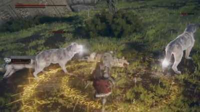 Tarnished and wolves headbanging to heavy metal (footage by u/Gennaronn )