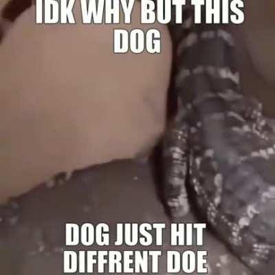 it do hit different doe