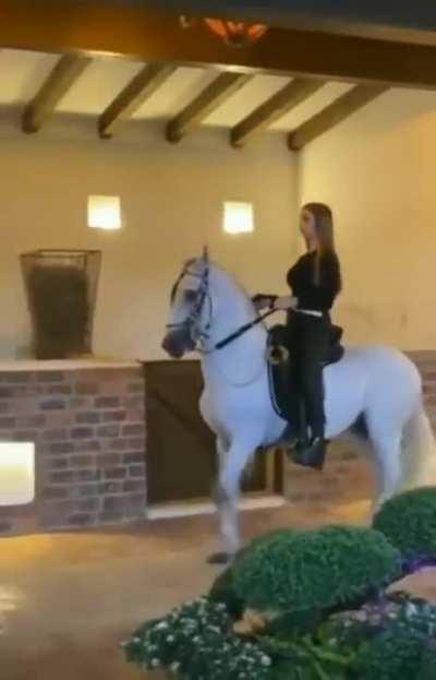 New Hot Sample All SoundClouds Using…