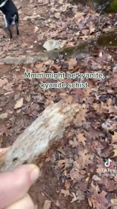 The patients that this man has and curiosity of his daughter.