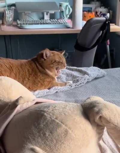 Has he gotten angry because I woke him up from his nap?