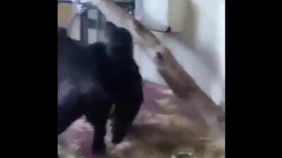 Orochi transando com ele mesmo