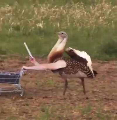 Não sei se alguém já postou isso, achei salvo na minha galeria e achei foDA