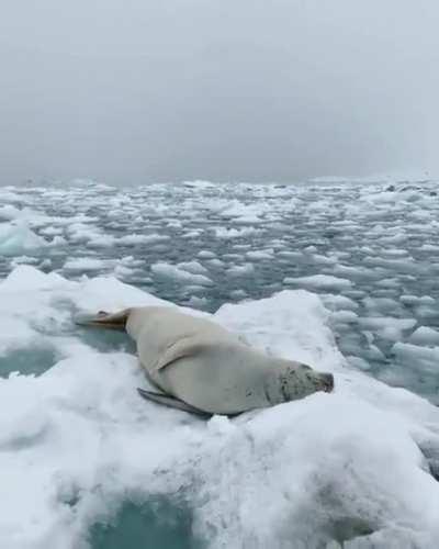 Monday night, everynight!