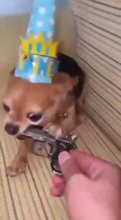 bite! bite! bite! Dog like Putin.