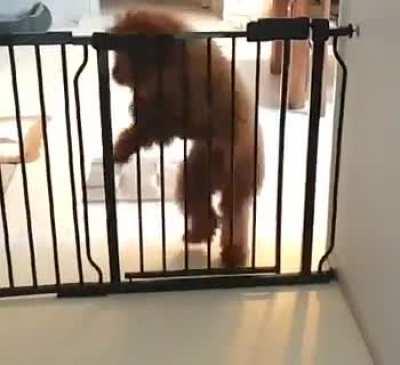 Coming home after a few hours or minutes out