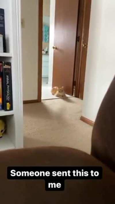 You've seen it coming..