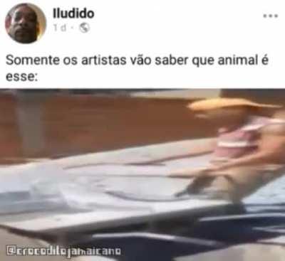 Eu até arriscaria, mas como nao sou um artista....