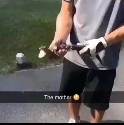 PedroDBR - Video #2020