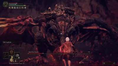 My bayle level 1 run no scadu run