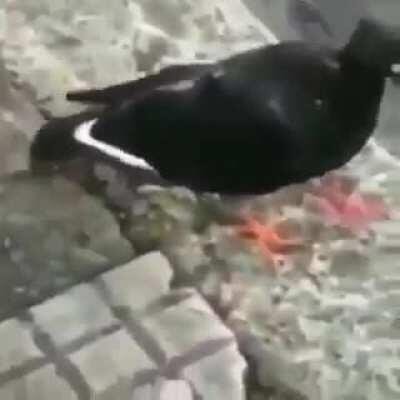 esse lugar só bagulho foda