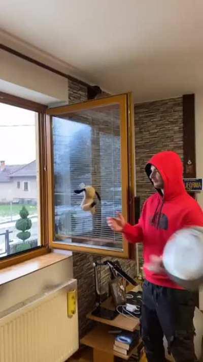 Love these little guys