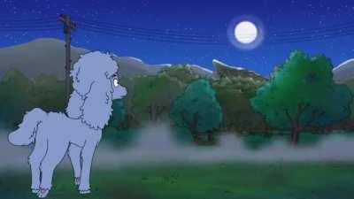 When Did Wile E, Become a Stud? XD