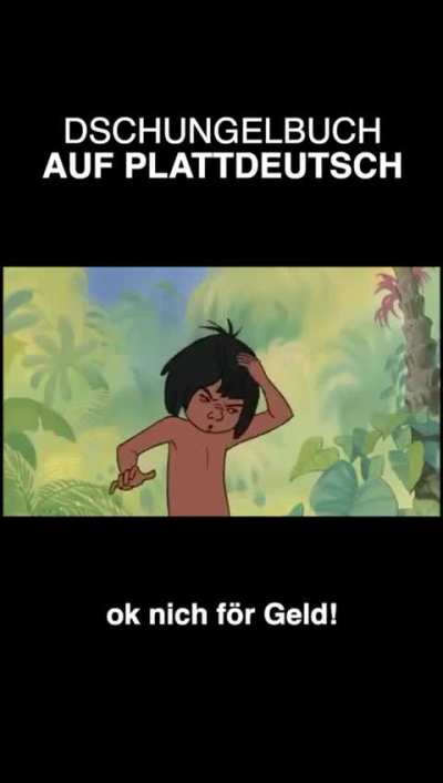 Ich bin 40+ und leider feier ich dat... Wir schicken dat all durch den Freundeskreis und kriegen nuur 🤣🤣🤣🤣 turüch und all die Kinners fragen ob we besuppen sin!