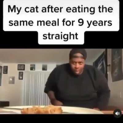 My cat when he gets food