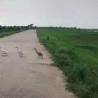 “Umm honey, I'll be late today. I’m stuck in traffic.”