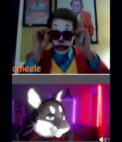 Gypsy Crusader when Furry