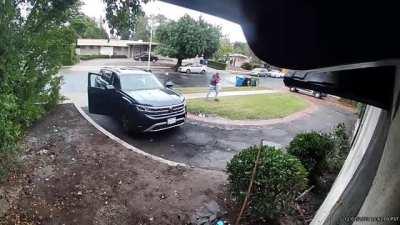 2-year-old girl attacked by coyote outside Los Angeles