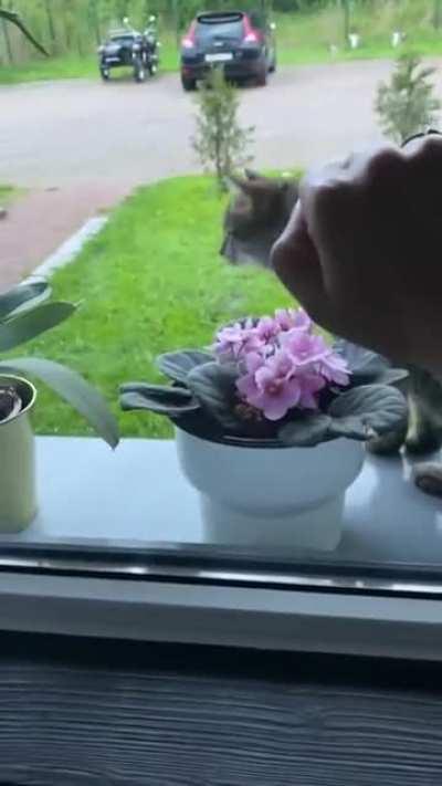 Caught her off guard and she wasn’t happy