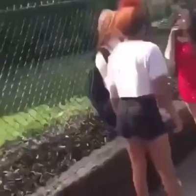 Fight outside of their school