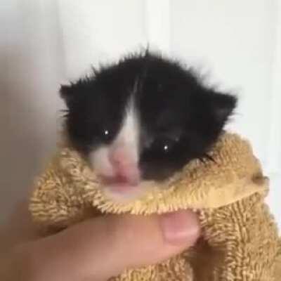 When your agent gets mad with the seller because of a speck on your new hoodie