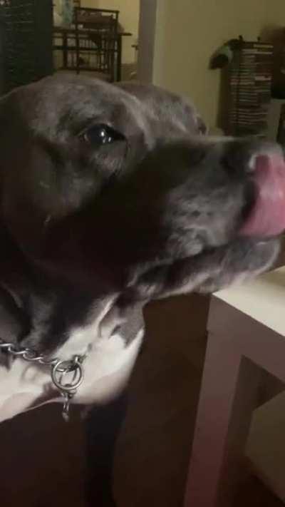 Banksy’s “ready to go for a walk” song