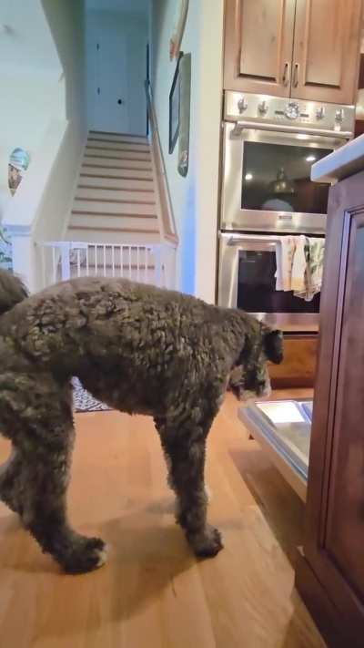 Was told this would go well here