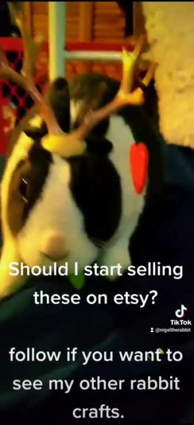 What do you guys think?